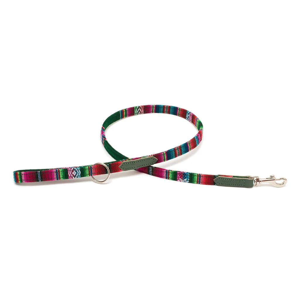 Inca Holly Skinny Classic Dog Lead