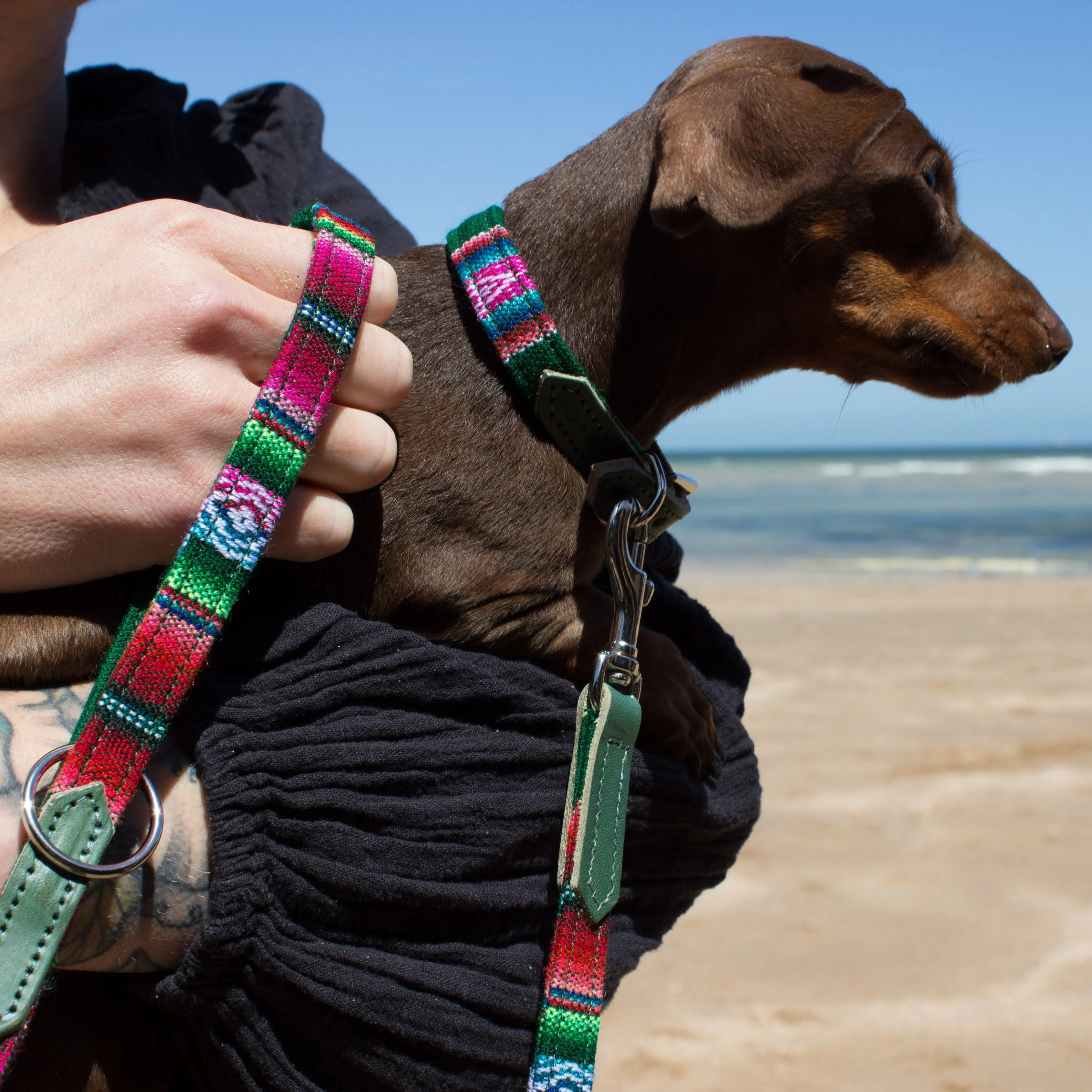 Inca Holly Skinny Classic Dog Lead